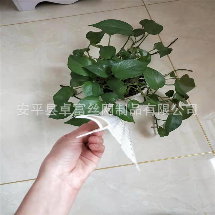 微信图片_2019122006243811.jpg
