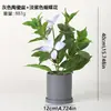 Planta Verde Creativa Hierba de Cuatro Hojas Cheyenne Planta en Maceta de Simulación Decoración del Hogar Escritorio de Oficina Planta de Simulación Crecimiento de Ojos Bonsái