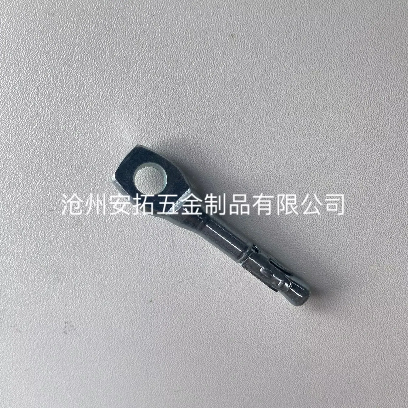 鱼眼壁虎4