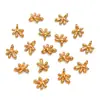 Dijes para Colgantes de Corazón, Flor, Animal, Estrella, Hoja, Pimienta, Hechos por Ti Mismo, Acero Inoxidable Chapado en Oro Real Ecológico, Joyería
