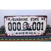 Placa de licença padrão americano placa pintada especificações europeias e americanas rascunho de amostra molde côncavo-convexo emblema de metal placa de alumínio