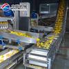 Equipos automáticos para la producción de ciruelas enlatadas, conjuntos completos de equipos para la línea de procesamiento de lichi enlatado
