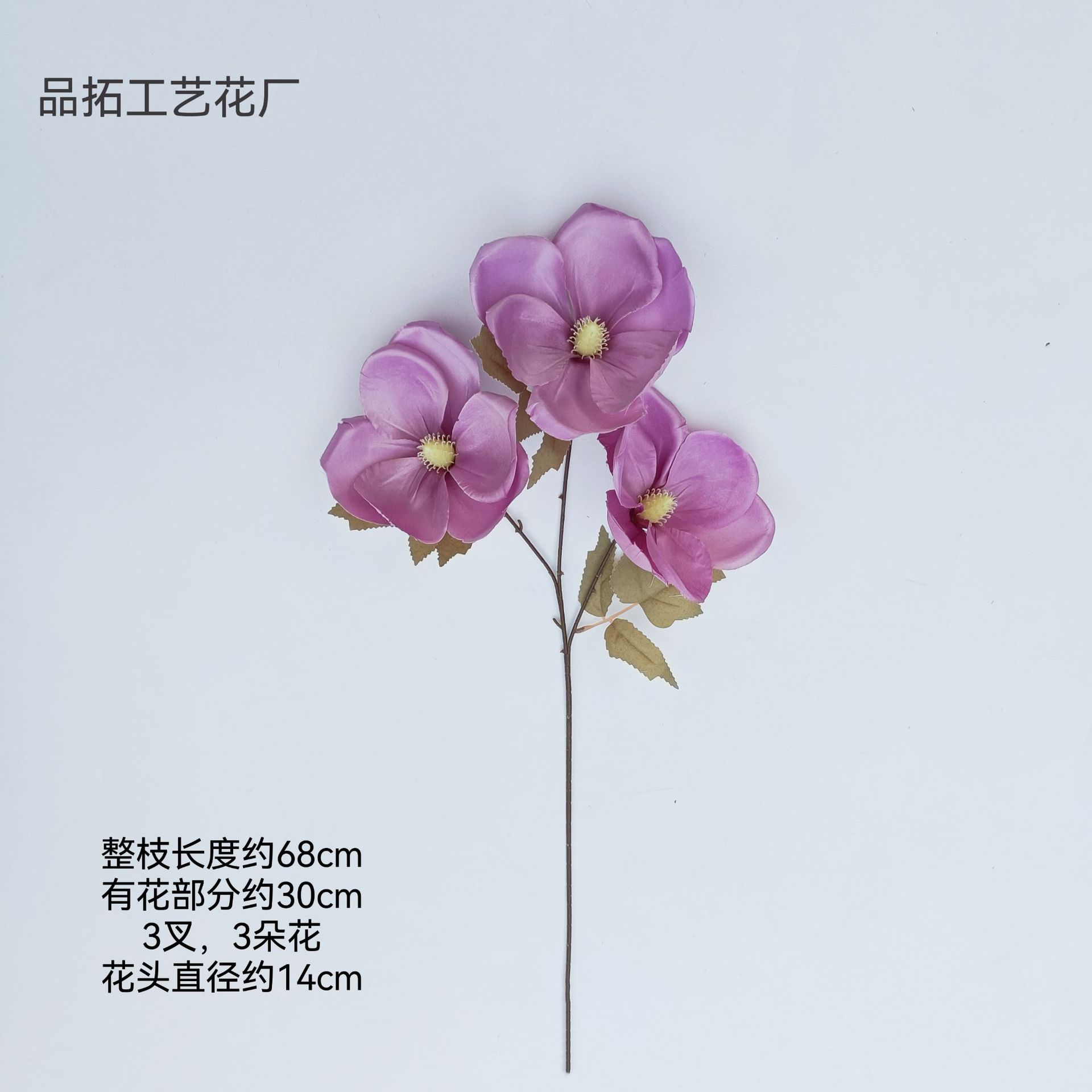 fef9cecc6e116d2134f0b276949c8a