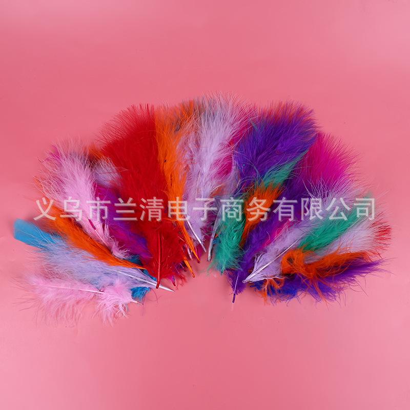 IMG_5999.JPG