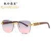 Nuevas gafas de sol de leopardo tridimensionales 8031, gafas de sol sin marco con personalidad europea y americana, gafas de sol de moda transfronterizas que combinan con todo.