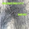 Cable Electrolítico Songgang 304 316 Alambre de Resorte de Alta Calidad Acero para Doblar y Procesar Afilado y Chaflanado de Alambre de Acero Pulido Electrolítico