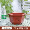 Maceta Hexagonal Maceta de Plástico Engrosada Roja y Blanca Extra Grande Maceta para Bonsái Bandeja para Flores y Verduras Venta al por Mayor