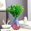 Hidroponia de Bambu é Fácil de Cultivar, Flores Hidropônicas de Cipreste de Bambu Afastam Mosquitos, Plantas de Bambu para a Sala de Estar, Plantas Verdes de Interior, Plantas em Vasos Cultivadas em Água o Ano Todo que Afastam Mosquitos