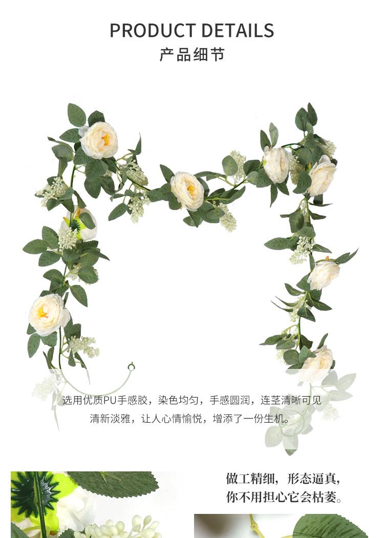 玫瑰花藤_08.jpg