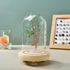 Adornos de Árbol de Cristal Natural Árbol de la Fortuna de Citrino Botella de los Deseos Cubierta de Vidrio Árbol de la Vida Artesanías de Decoración para el Hogar