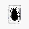 Resina de Venta Caliente Transfronteriza Muestras de Insectos Reales Araña Escorpión Saltamontes Regalo de Recompensa para Estudiantes de Primaria Regalo Artesanal