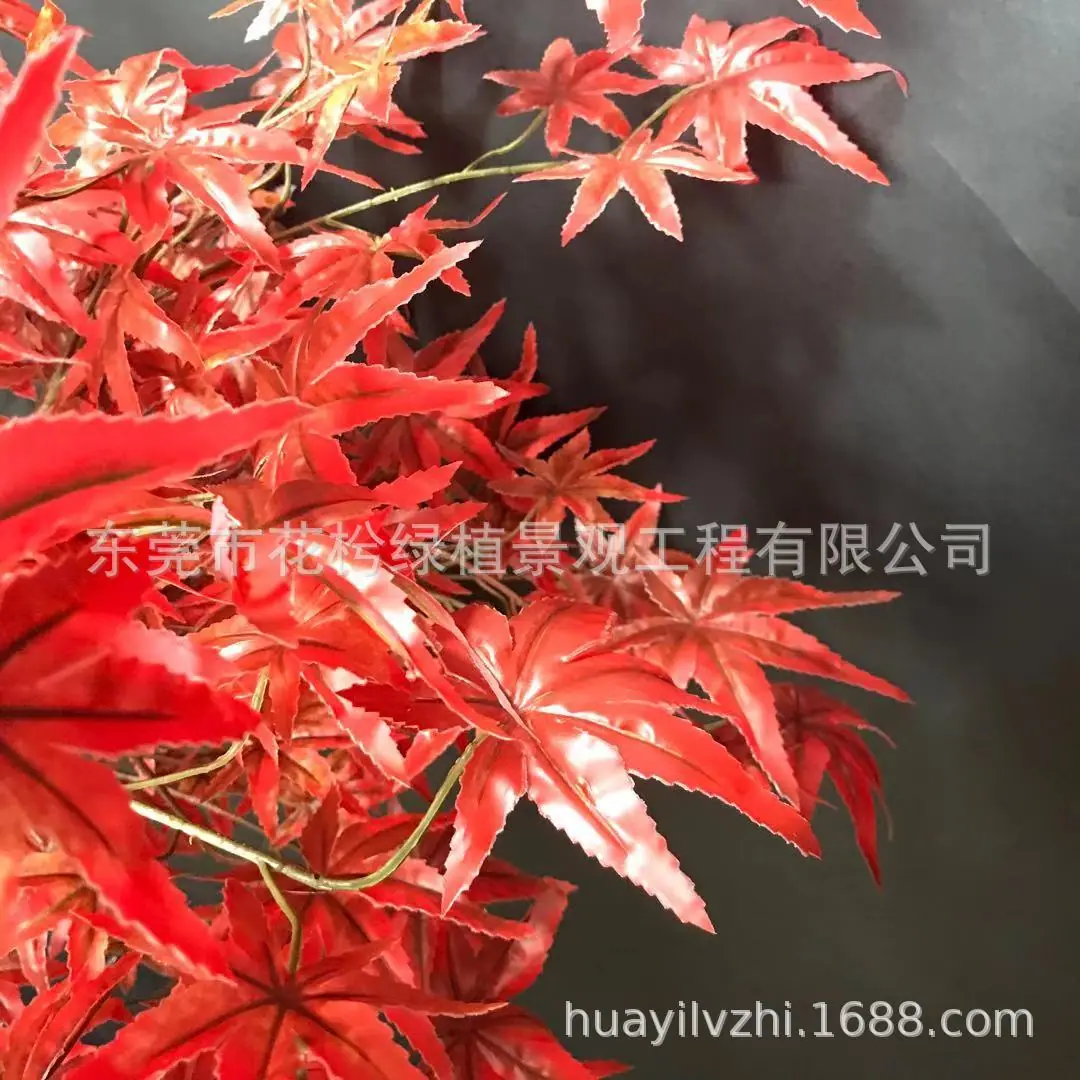 微信图片_201911131156206