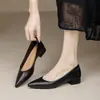 2026 Novo Estilo Salto Grosso Estilo Fada Delicada Bico Fino Slip-On Solado Macio Versátil Sapatos de Trabalho para Mulheres