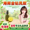 Abacaxi Diamante Dourado de Hainan Selecionado Cuidadosamente Dropshipping 4,5-5 jin Fruta Grande 2 peças Caixa Colorida Abacaxi Fruta Fresca