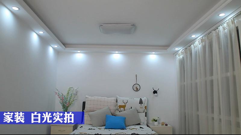 白1