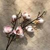 Rosa Flor Artificial Fabricante Vendas Diretas Acessórios de Arranjo de Flores Decorativas E-commerce Transfronteiriço de Mesa Fotografia de Fantasia Magnólia Pequena de 7 Cabeças