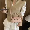 Bolsa de mão feminina de bolinhas europeia e americana, estilo coreano, luxo de nicho, bolsa tote versátil e estilosa para o dia a dia, bolsa de ombro e bolsa transversal
