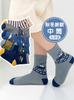 Calcetines para Niños Otoño e Invierno Nuevos de Longitud Media Dinosaurio Primavera y Otoño Niños y Niñas Bebé Medianos y Grandes Categoría de Calcetines para Niños a Venta al por Mayor