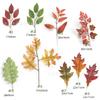 Amazon Venta Caliente Simulación Otoño Multiestilo Hoja de Arce DIY Hecho a Mano Ramo de Flores Decorativo Bonsái Arreglo Floral Accesorios de Hojas