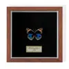 Especimen de Mariposa Real Colgante de Madera Estilo Nórdico Simple Moderno Regalo de Cumpleaños Marco de Fotos de Madera Simple