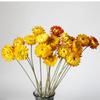 Flores Secas, Crisantemo de Paja, Crisantemo Colorido, Crisantemo de Piña, Girasol, Cosmos, Suministro Directo de Fábrica, Decoración Estilo Ins