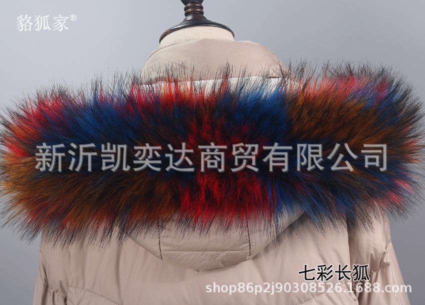 七彩长狐.jpg
