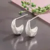 Pendientes C-Shaped Cepillados Mate para Mujer, Diseño Sencillo de Nicho Otoño e Invierno, Estilo Minimalista de Gama Alta, Pendientes Únicos de Gota de Agua