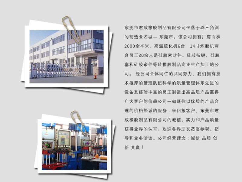 详情，公司简介