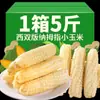 Milho de Polegar Xishuangbanna Yunnan Café da Manhã Instantâneo Substituição de Refeição Milho de Dedo Mini Fresco Dai Doce Fragrante