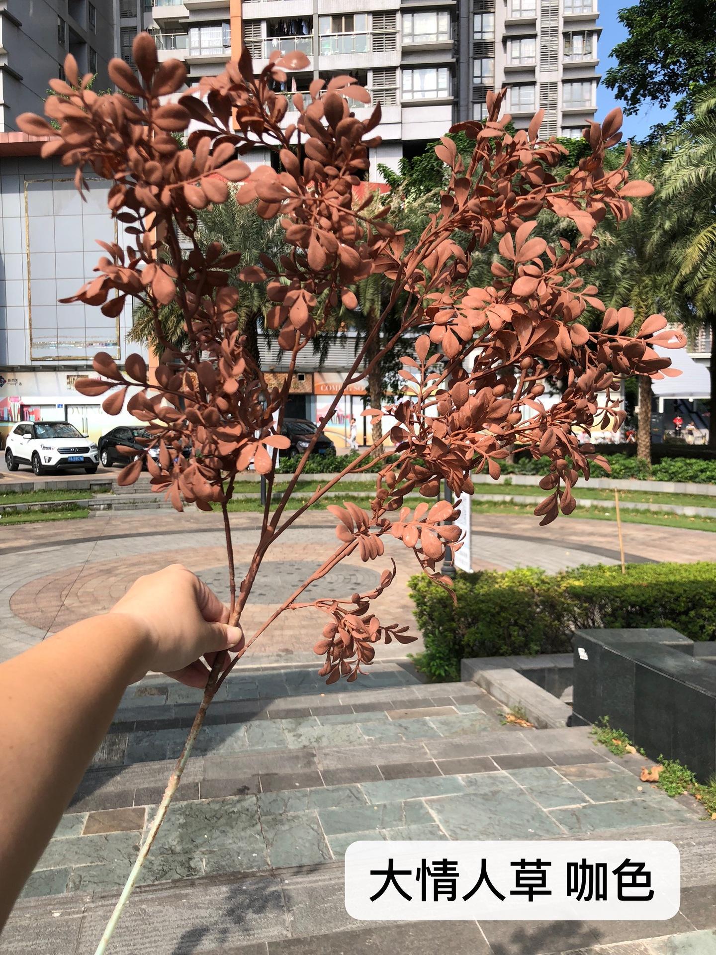 微信图片_20191020195140