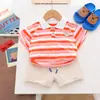Traje Infantil Bloques de Color Rayas Forro de Polo Manga Corta Pantalones Cortos Caqui Conjunto de Dos Piezas Infantil de Moda Venta al por Mayor