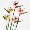 Ave del Paraíso de Caucho Artificial de Alta Calidad, Tallo Único, Planta Artificial Decorativa para Interiores y Exteriores, Decoración Suave y Paisajismo