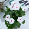Planta de vinca em vaso floresce todos os dias com botões de flores, planta ornamental, ameixa de cinco folhas, pátio, sala de estar, flores em vaso, quatro estações, a amarela