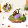 Adorno de musgo eterno para micro-paisaje de cristal con base de madera natural, decoración de cristal natural, piedra bruta de cristal, adorno de racimo de cristal