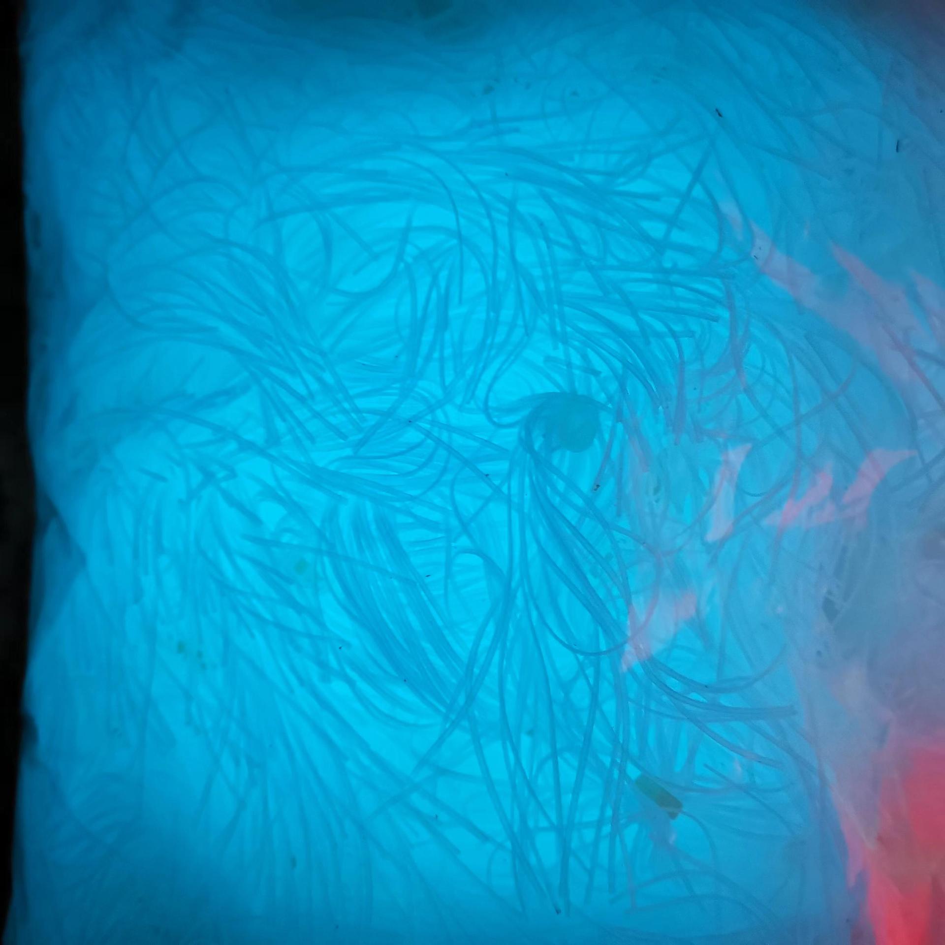 微信图片_20230314095125