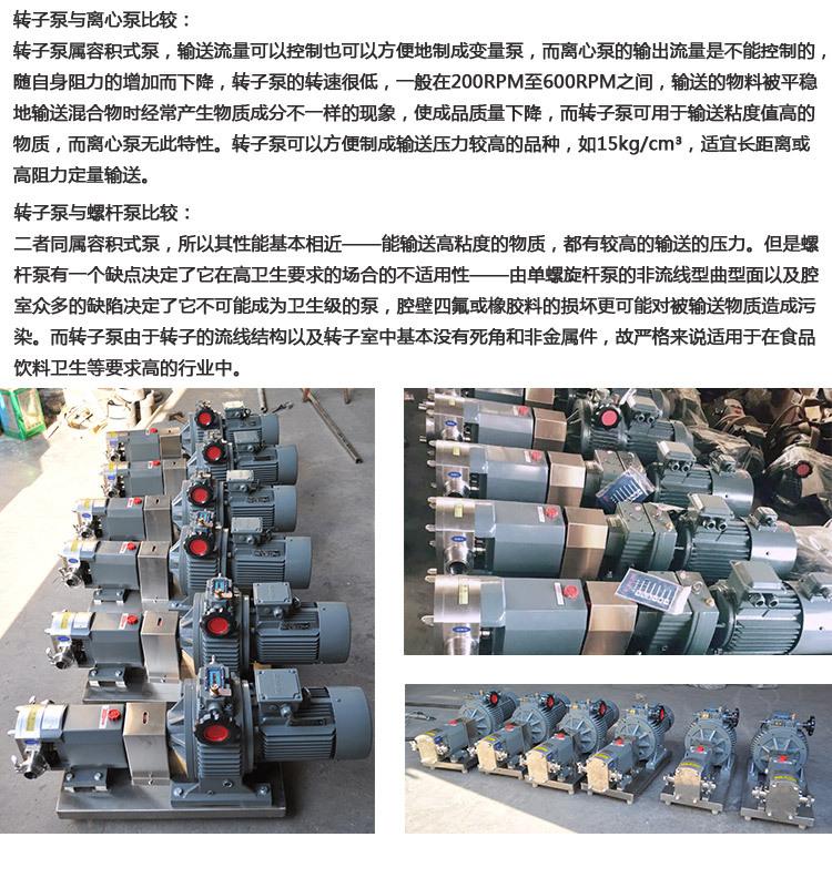 转子泵新_15