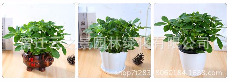 鍏柟鏉ヨ储璇︾粏11