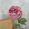 Pétala Única Núcleo Peônia Peônia Redonda Europeia Casamento Decoração de Casamento Parede de Flores Fotografia de Casa Adereços de Fotografia Flor
