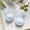 Lindo Dibujo Animado Cabeza de Conejo de Cuatro Colores Accesorios de Resina DIY Pegamento de Crema Paquete de Materiales para Pasador de Pelo Hecho a Mano Flor para Zapato Venta al por Mayor