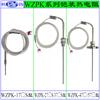 WZPK-174S WZPK-276S resistencia térmica blindada funda de tarjeta de resistencia térmica brida roscada cable de tres conductores de PTFE