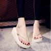 Moda de Verano Estilo Coreano Cuña Correa Fina Chanclas Mujer Simples Estudiante Antideslizantes Chanclas Mujer Multicolores Sandalias al por Mayor