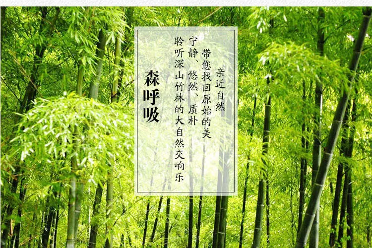 /O1CN01QN2Q271Qz7SNLc70F_!!2220761432046-0-cib.jpg