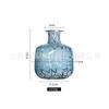 Jarrón de vidrio con semillas de colores, adornos de cristal europeos para muebles, jarrón de vidrio hidropónico, adornos decorativos hechos a mano.