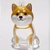 Caixa Transparente para Guardar Pelos de Gatinhos e Cachorrinhos, Pingente Fofo para Guardar Bolas de Pelo de Animais, Caixa de Pó Decorativa Comemorativa para Presente