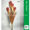 Plantas Verdes Simuladas, Buquês Coloridos de Capim-Cebola-dos-Pântanos, Decoração de Shopping Center, Adereços de Casamento, Fogos de Artifício Diurnos, Personalização de Capim-dos-Pântanos