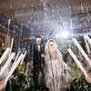 Cañón de Confeti de Cinta de Lluvia de Meteoros Boda de Mano Plateado Confeti de Acción de Giro Accionado a Mano Atrezzo de Atmósfera para Escena de Ceremonia de Compromiso