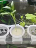 Suporte Hidropônico Aquário Abrigo Peixe Planta Peixe e Vegetal Simbiose Fruta e Vegetal Planta Aquática Suprimentos para Aquário Cultivo