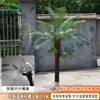 Coqueiro Falso Coqueiro Grande Tropical Outdoor Árvore Artificial para Paisagismo Planta Verde Arranjo de Paisagismo Palmeira Falsa Interna