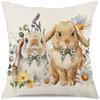 Funda de almohada caliente de Pascua transfronteriza funda de almohada decorativa funda de almohada de lino de primavera material venta directa de fábrica