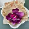 Cabeça de flor de cymbidium simulada cabeça de magnólia pessoas minoritárias DIY cocar grampo de cabelo caixa de presente combinando acessórios de grampo de cabelo decorativos